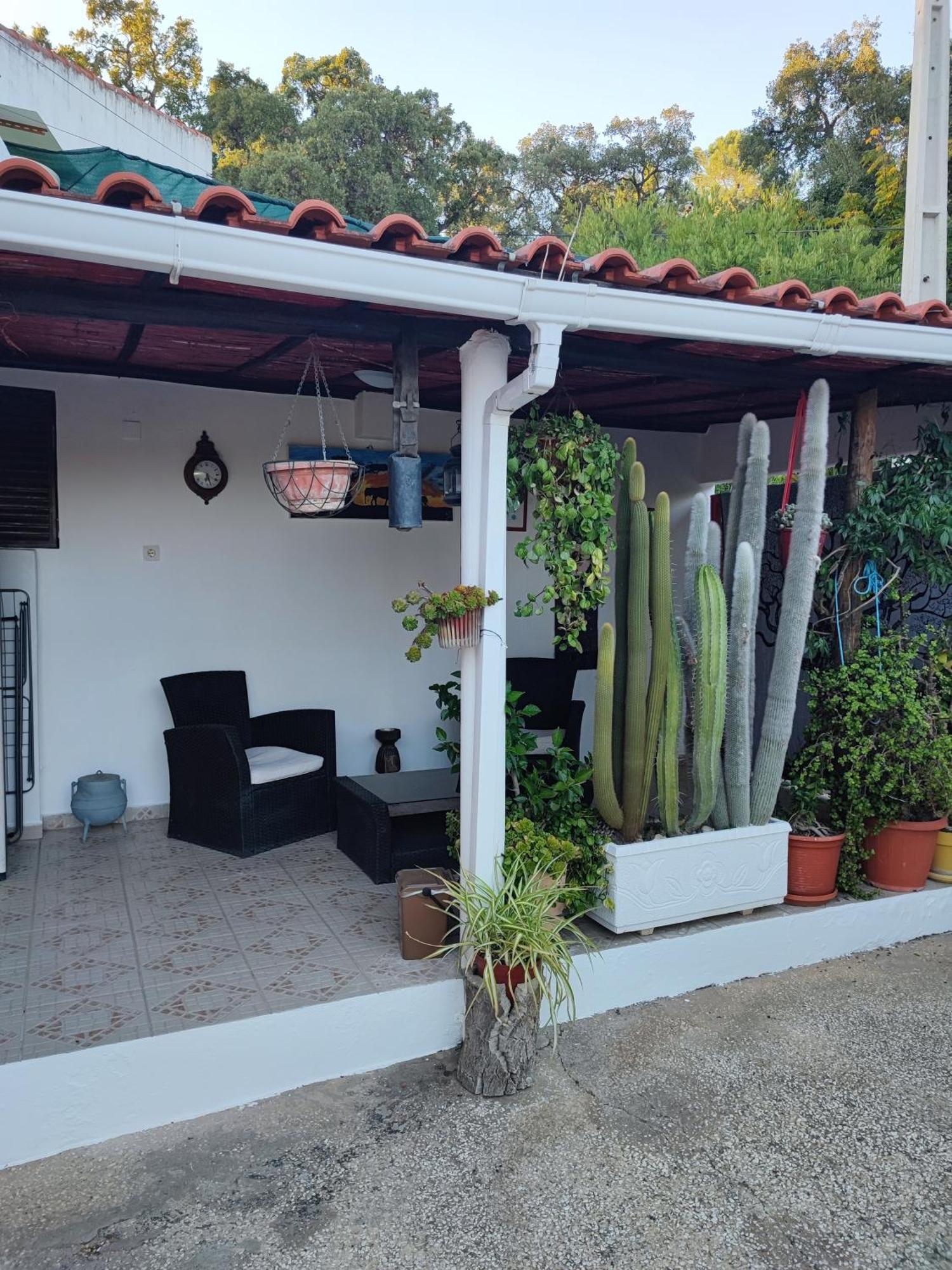 My House - Casa Charme Villa Monchique Dış mekan fotoğraf