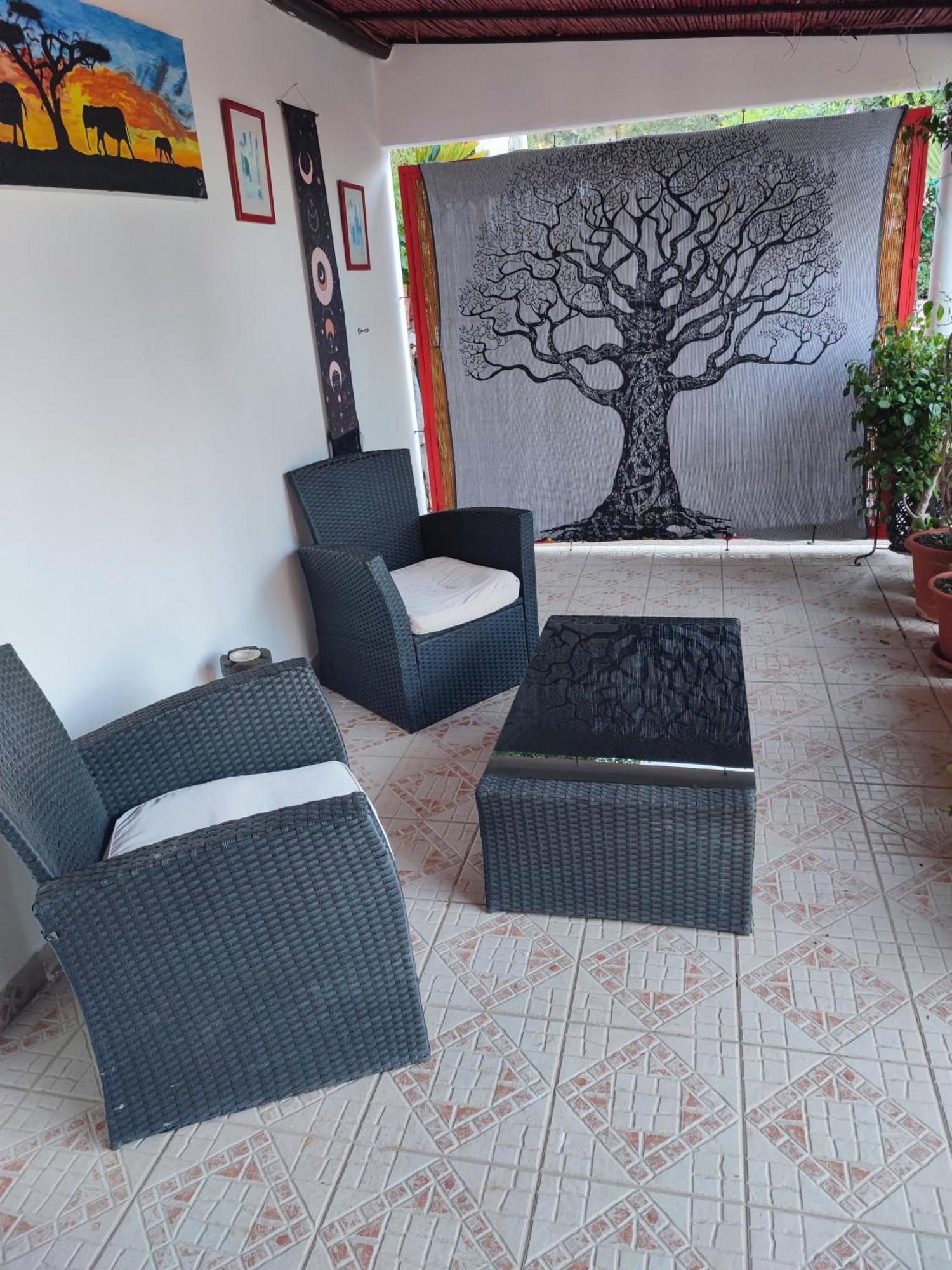 My House - Casa Charme Villa Monchique Dış mekan fotoğraf