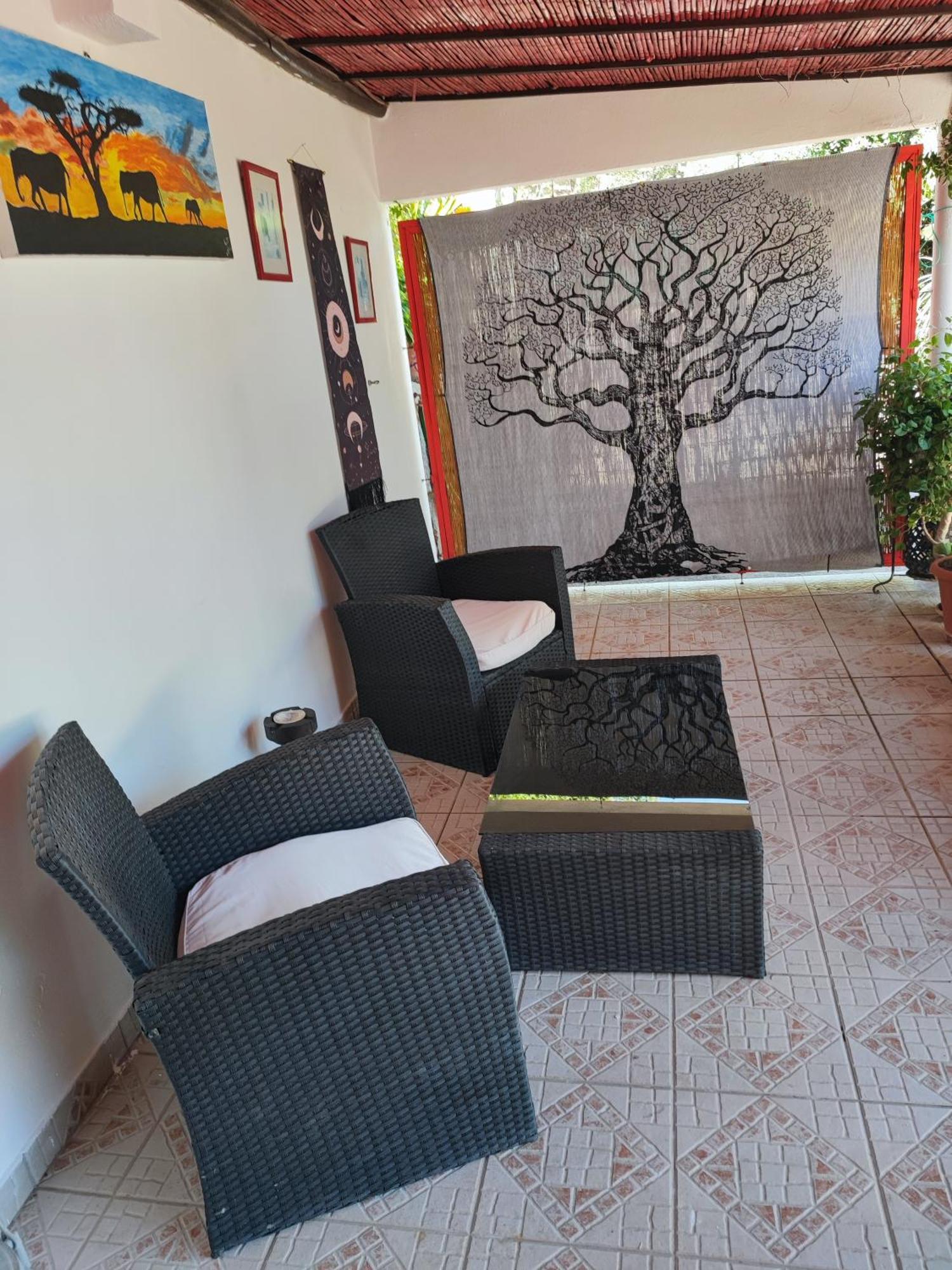 My House - Casa Charme Villa Monchique Dış mekan fotoğraf