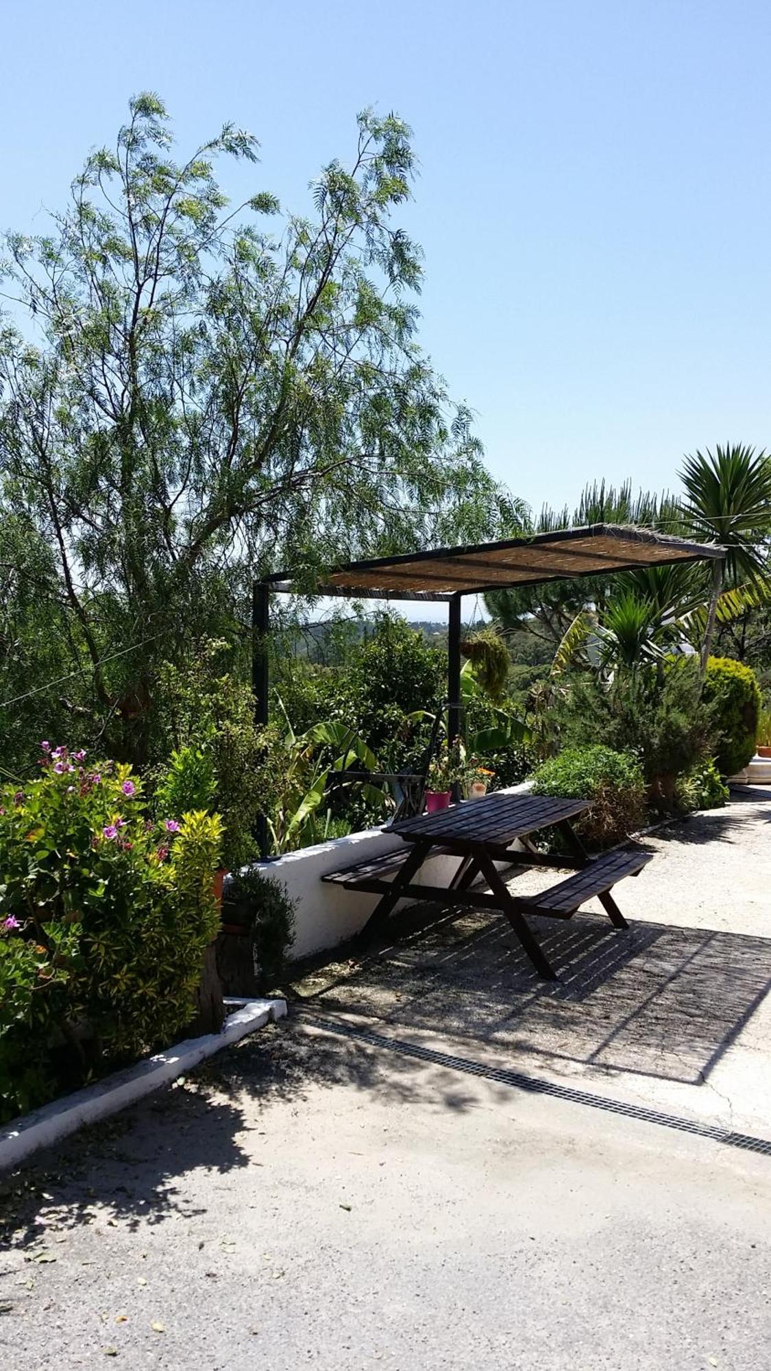 My House - Casa Charme Villa Monchique Dış mekan fotoğraf