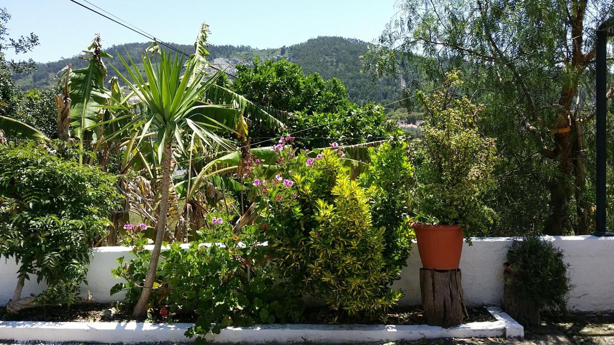 My House - Casa Charme Villa Monchique Dış mekan fotoğraf