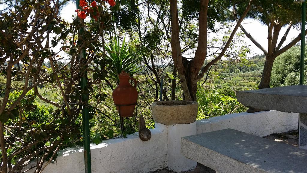 My House - Casa Charme Villa Monchique Dış mekan fotoğraf