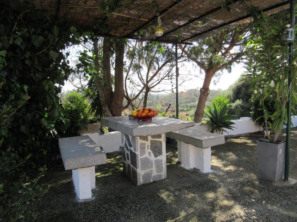 My House - Casa Charme Villa Monchique Dış mekan fotoğraf