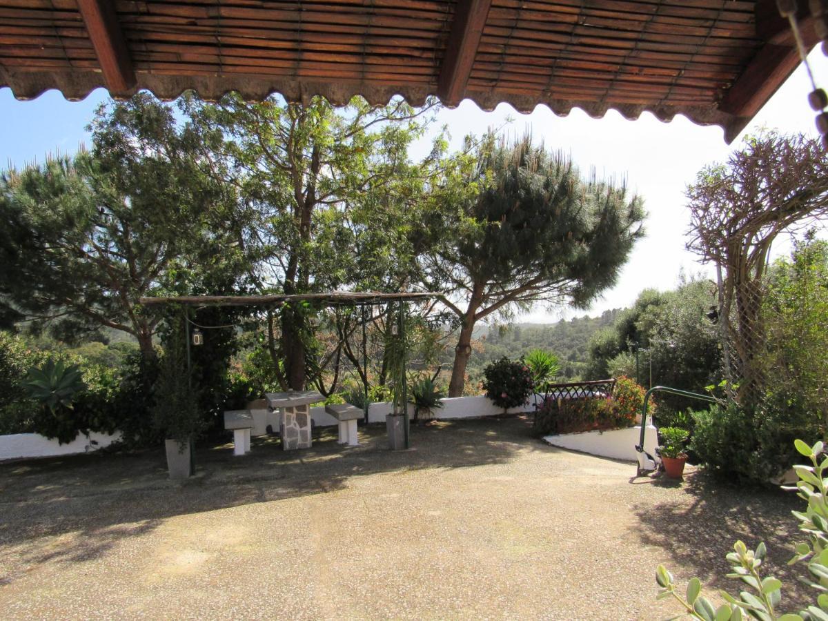 My House - Casa Charme Villa Monchique Dış mekan fotoğraf