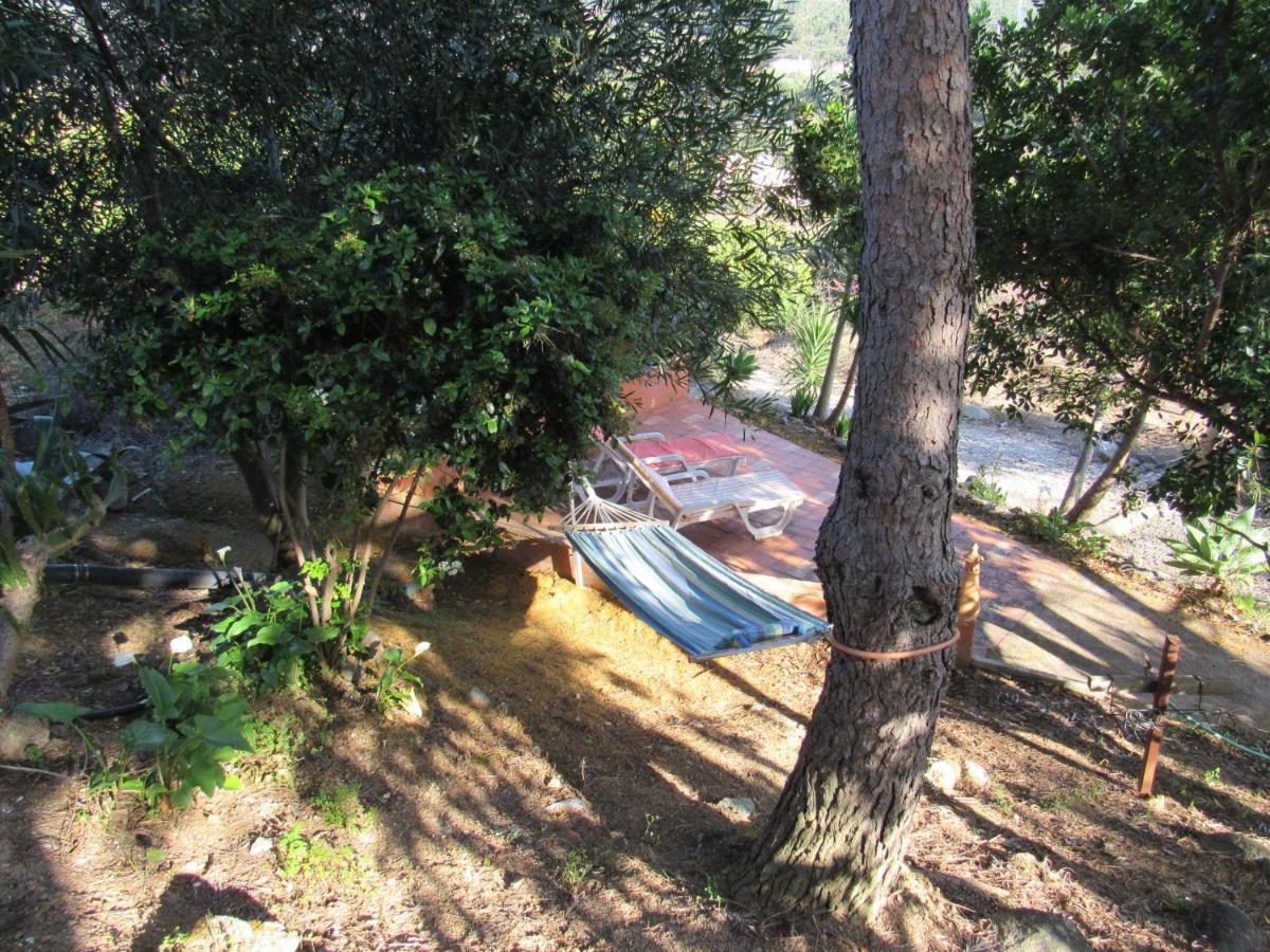 My House - Casa Charme Villa Monchique Dış mekan fotoğraf